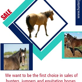 Hunters For Sale: Hunters For Sale