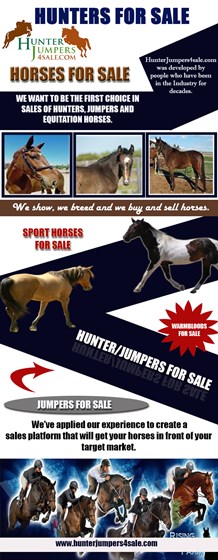 Hunters For Sale: Jumpers For Sale