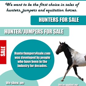 Hunters For Sale: Warmbloods For Sale